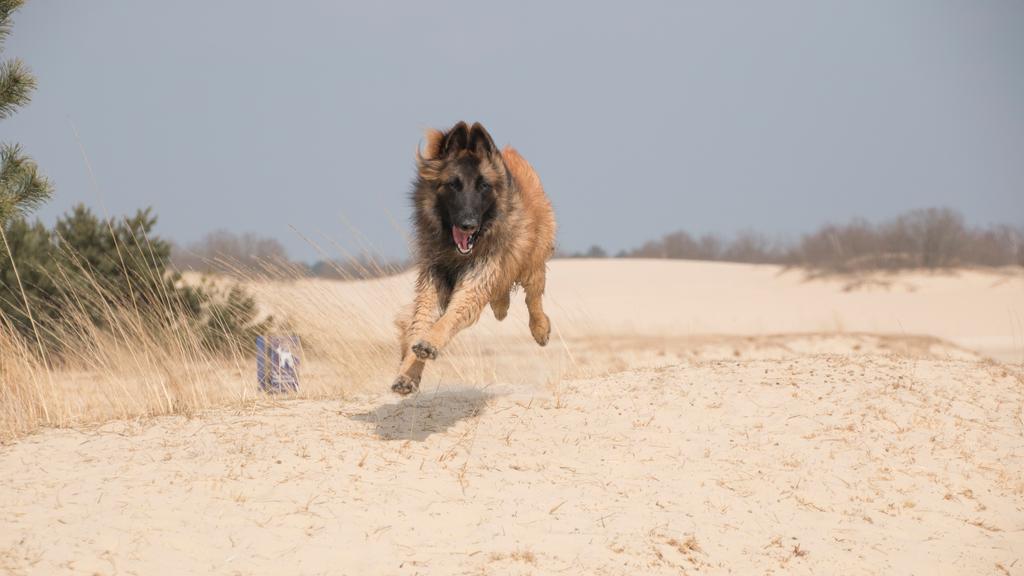 Living Environment Adaptability icon