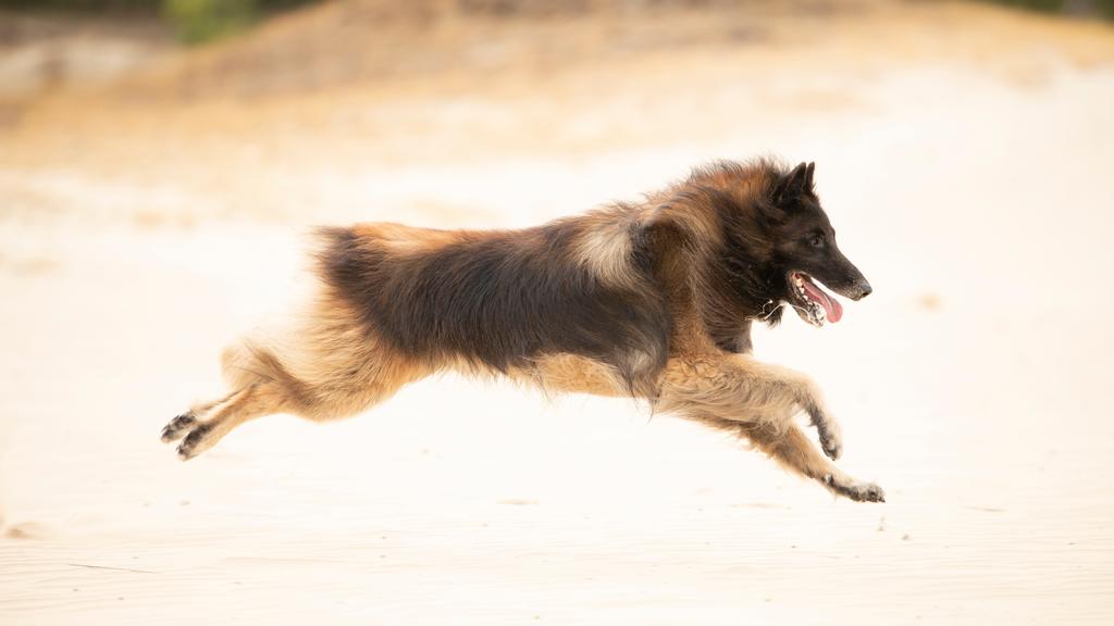 Exercise & Activity Needs icon