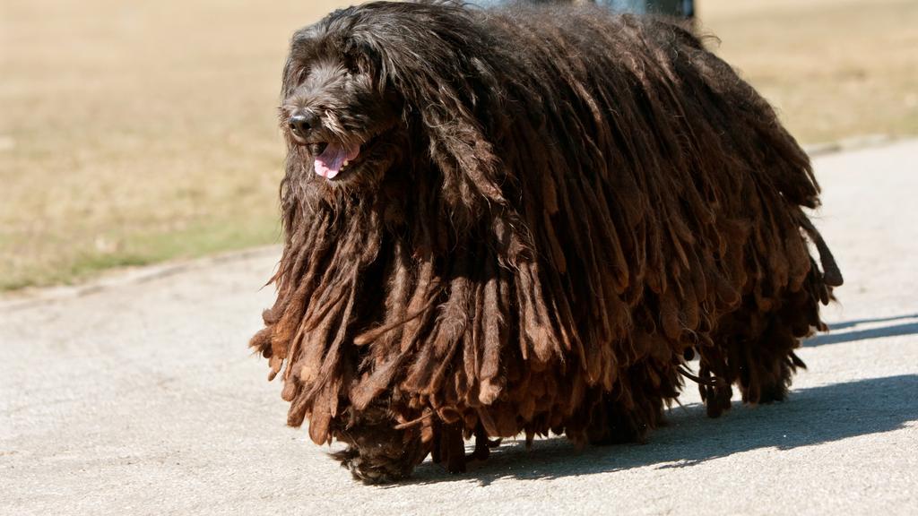 Basic Information icon