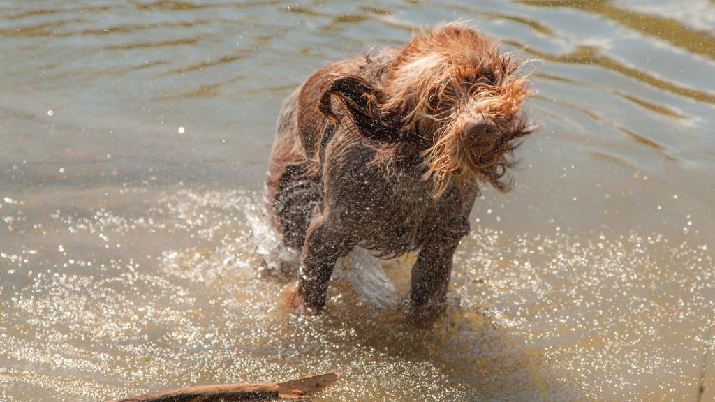 Financial Considerations icon