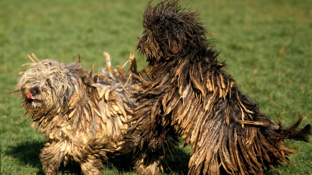 Long-Term Commitment & Special Considerations icon