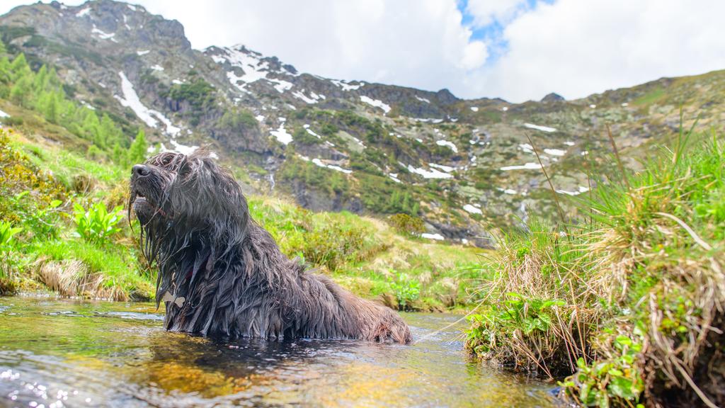 Exercise & Activity Needs icon