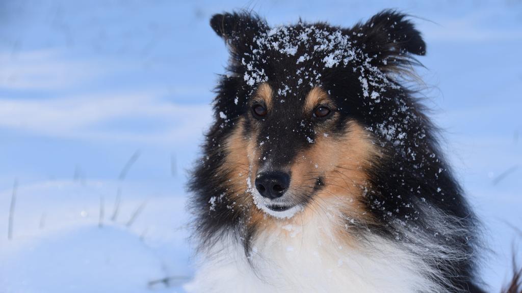 Life Stage Considerations icon