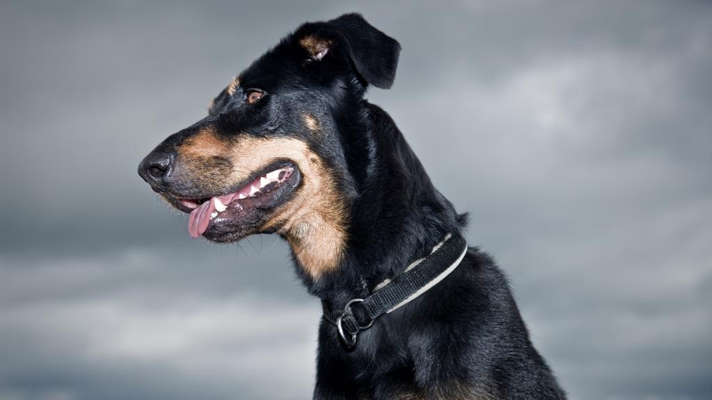 Financial Considerations icon