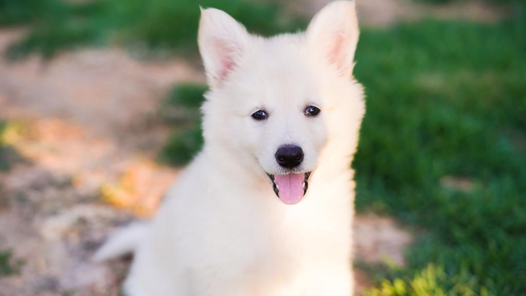 Living Environment Adaptability icon