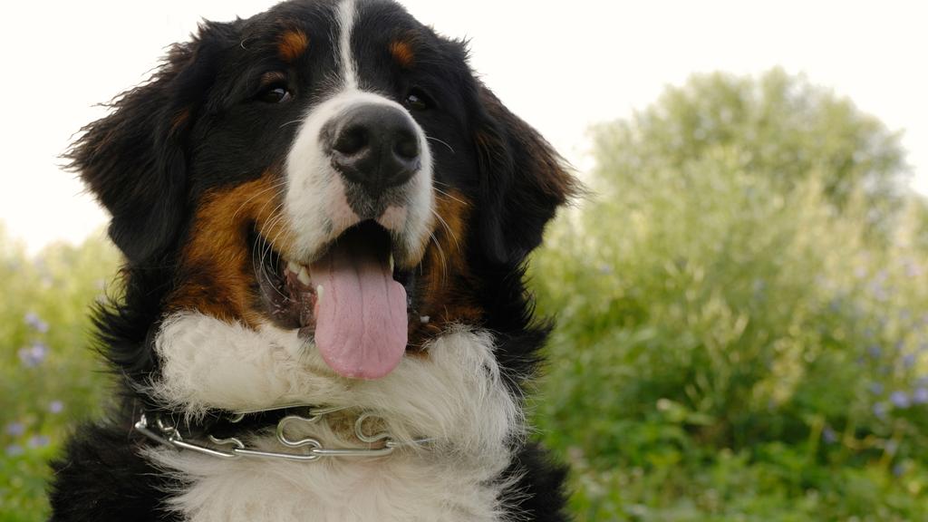 Financial Considerations icon