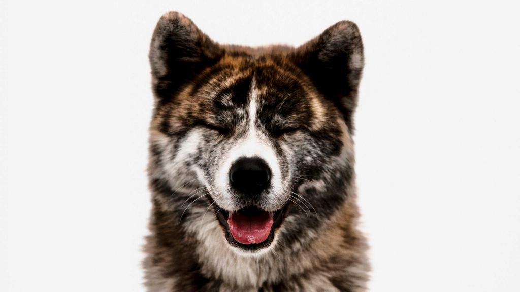 Basic Information icon