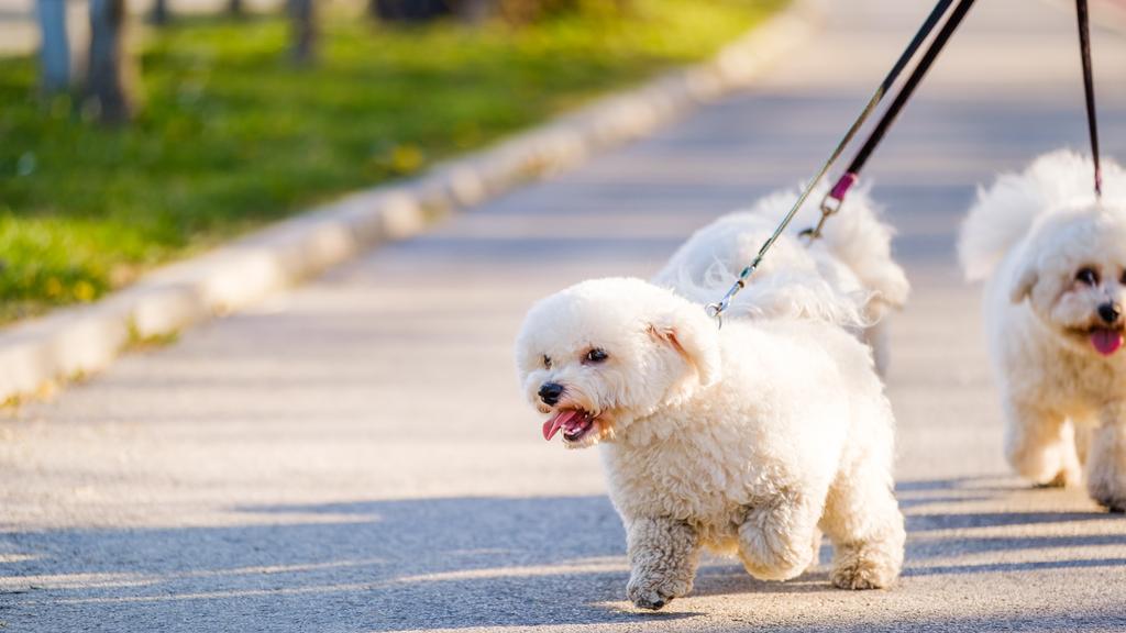 Long-Term Commitment & Special Considerations icon