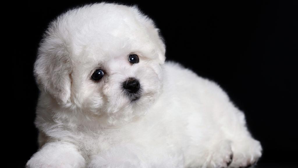 Living Environment Adaptability icon