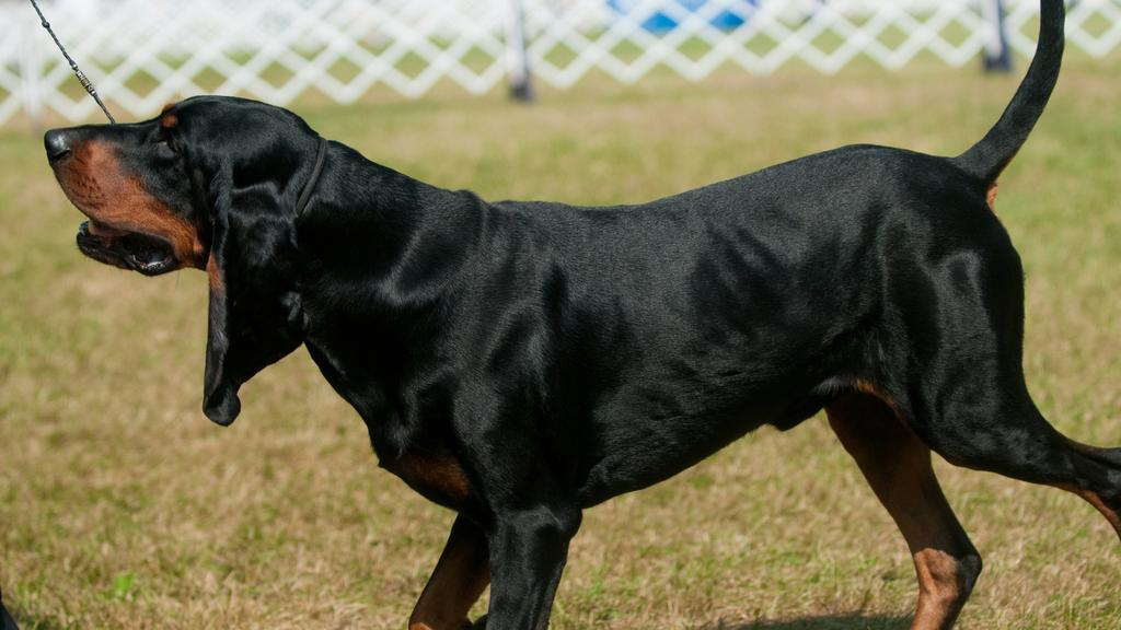 Long-Term Commitment & Special Considerations icon