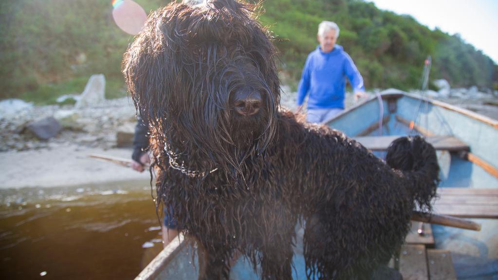 Life Stage Considerations icon