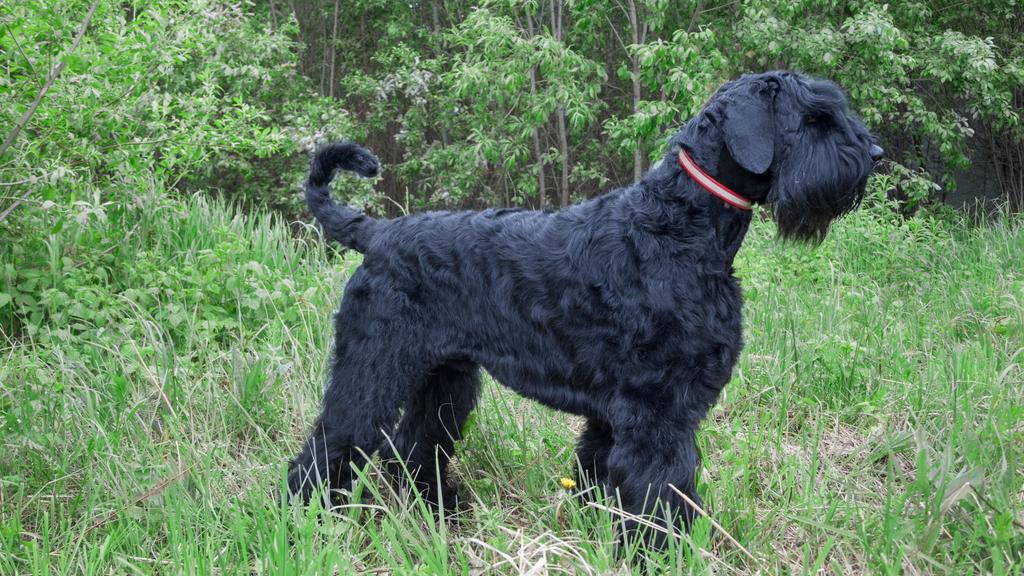 Living Environment Adaptability icon