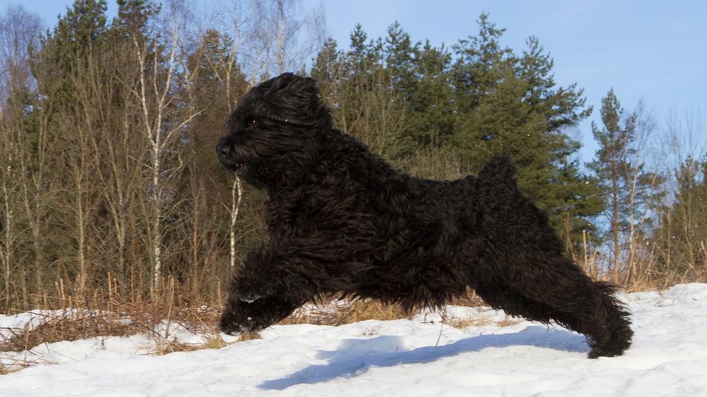 Financial Considerations icon