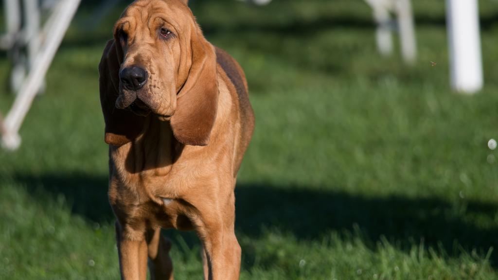 Long-Term Commitment & Special Considerations icon