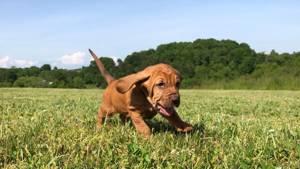 Living Environment Adaptability icon