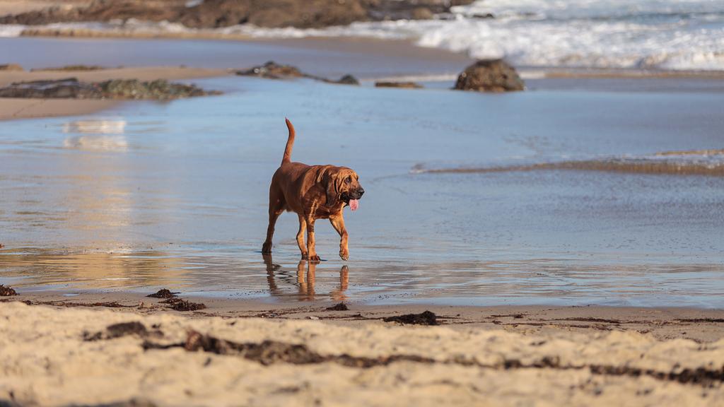 Basic Information icon