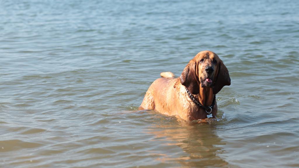 Basic Information icon