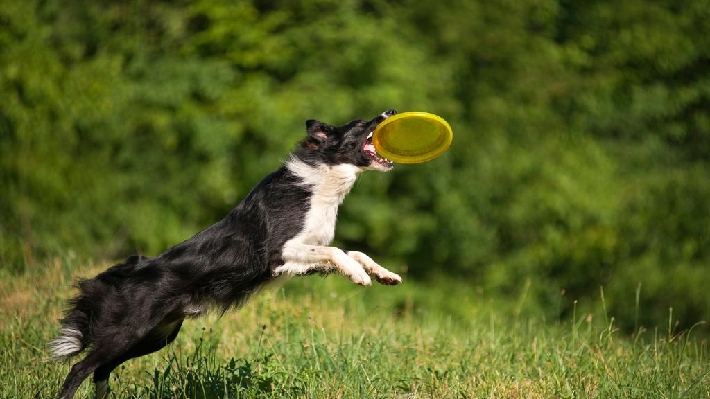 Financial Considerations icon