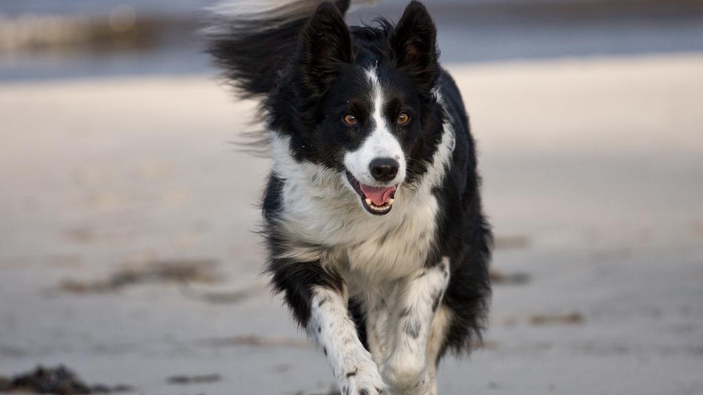 Life Stage Considerations icon