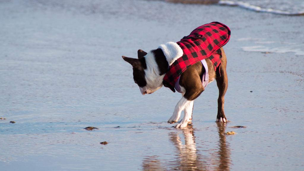 Basic Information icon