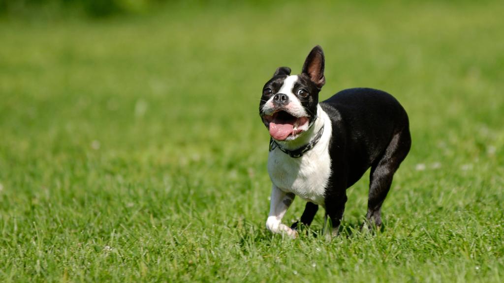 Life Stage Considerations icon