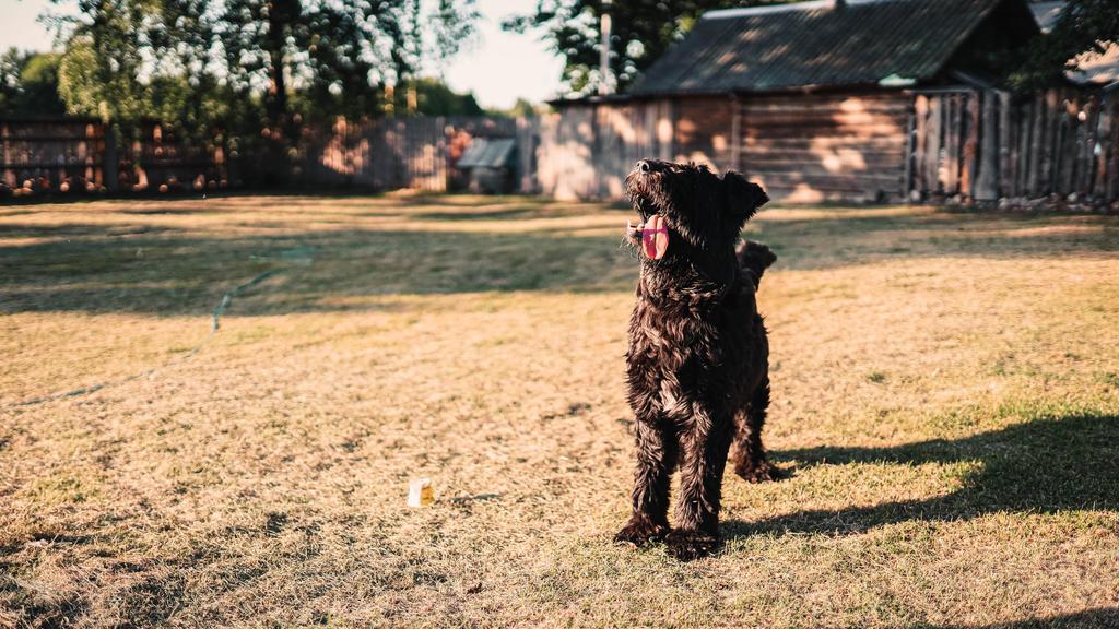 Basic Information icon