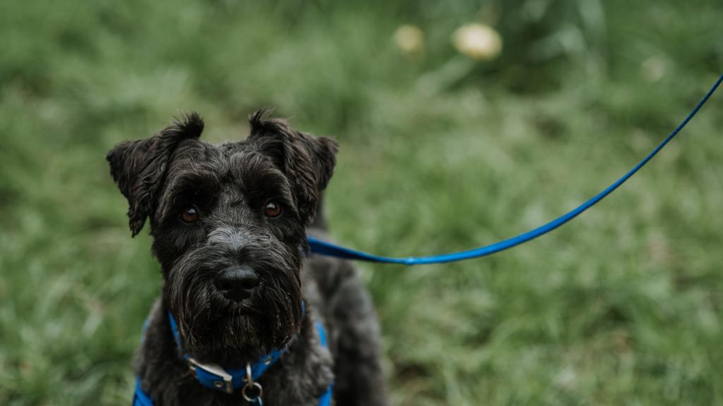 Long-Term Commitment & Special Considerations icon