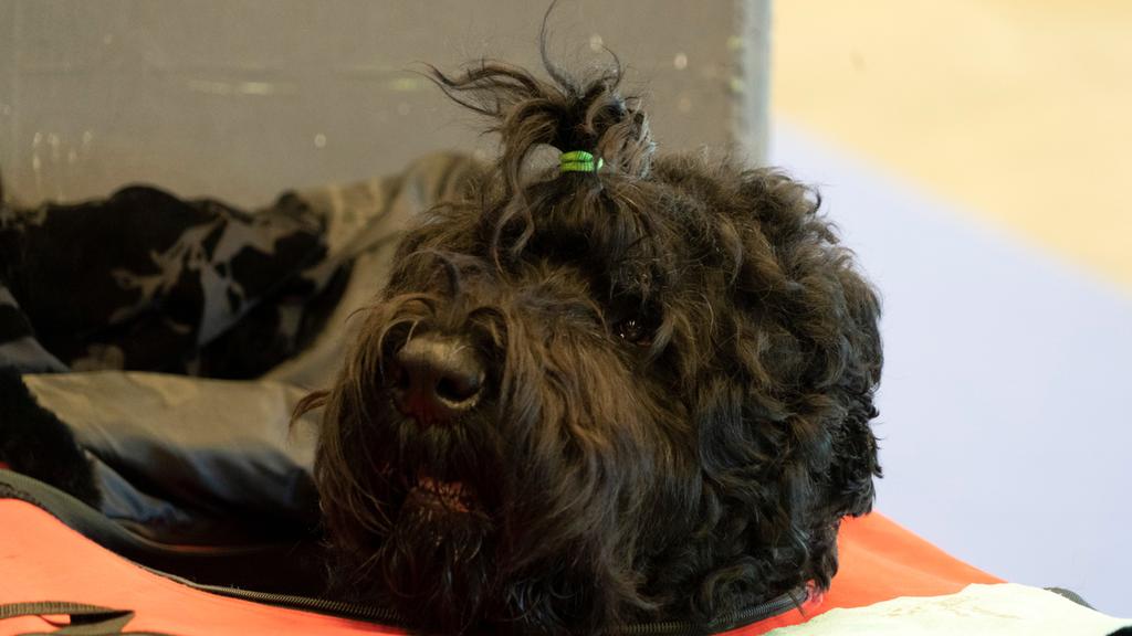 Financial Considerations icon