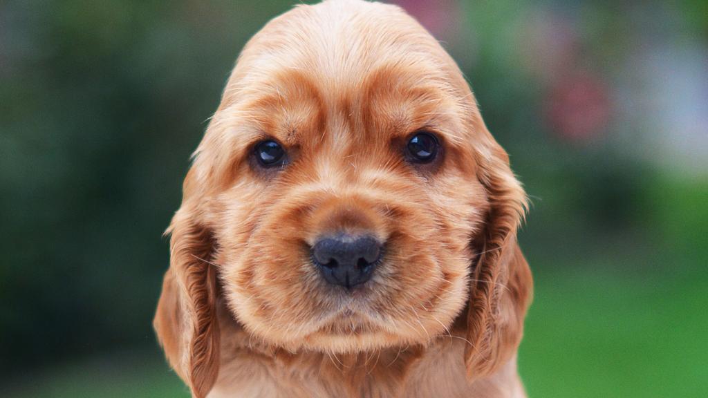 Long-Term Commitment & Special Considerations icon