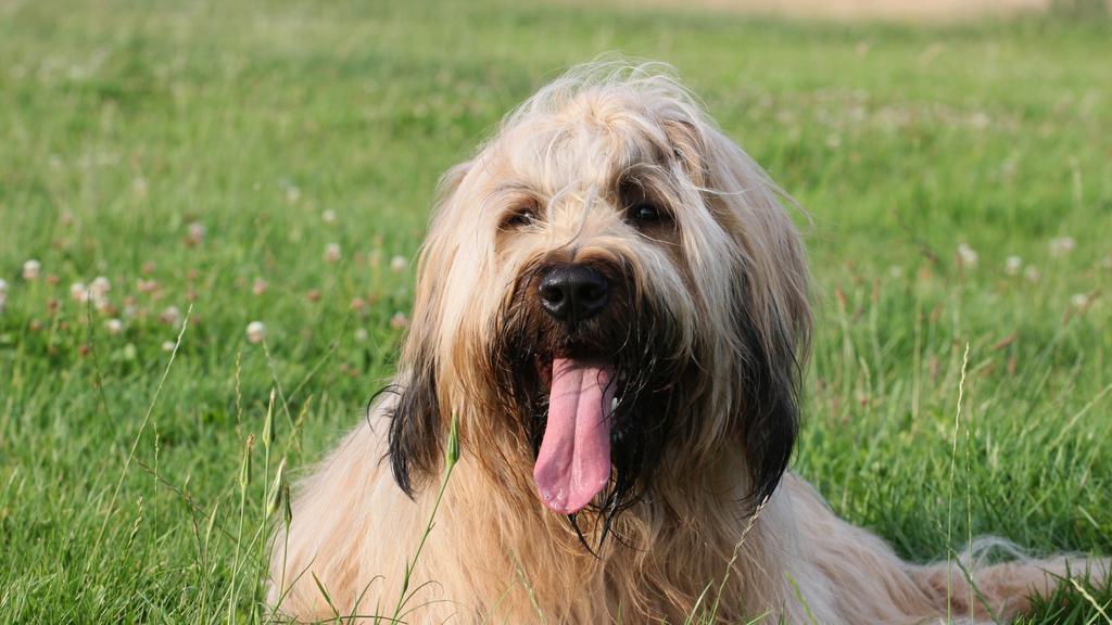 Financial Considerations icon