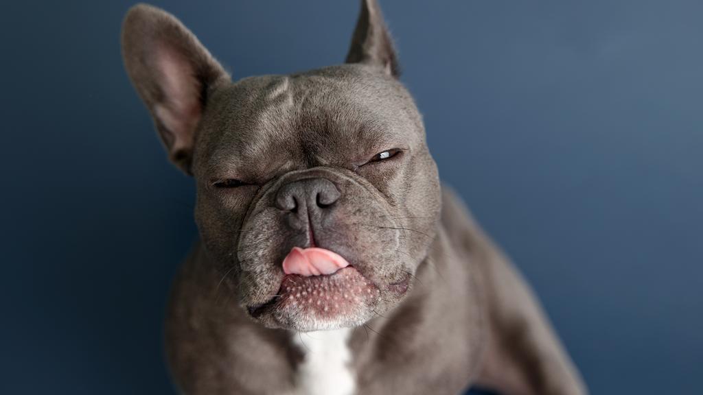 Financial Considerations icon