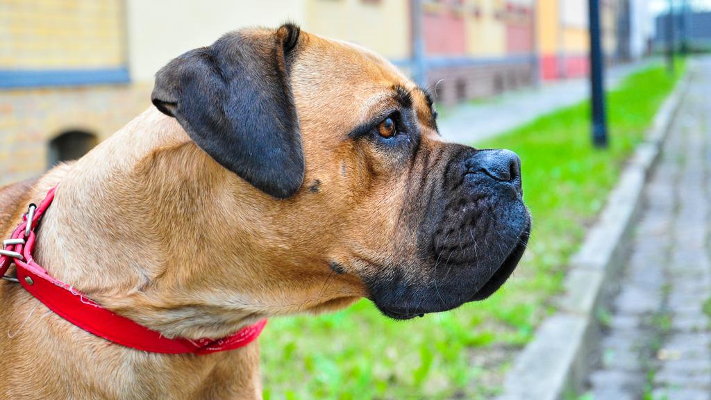 Financial Considerations icon