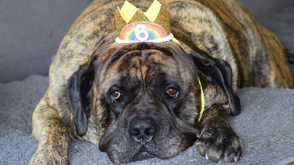 Life Stage Considerations icon