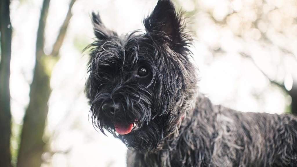 Financial Considerations icon