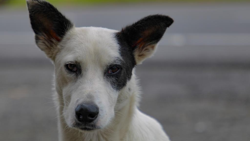 Exercise & Activity Needs icon