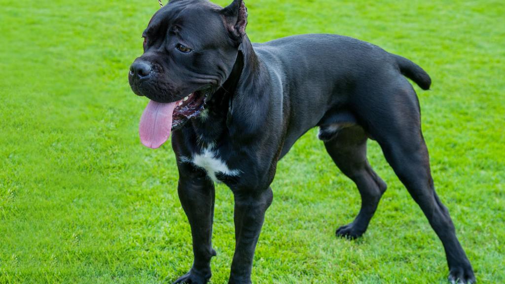 Living Environment Adaptability icon