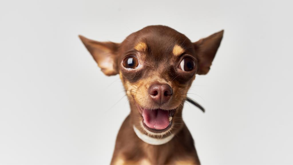 Long-Term Commitment & Special Considerations icon