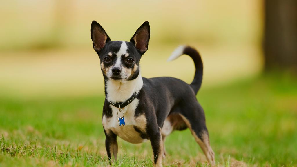 Financial Considerations icon