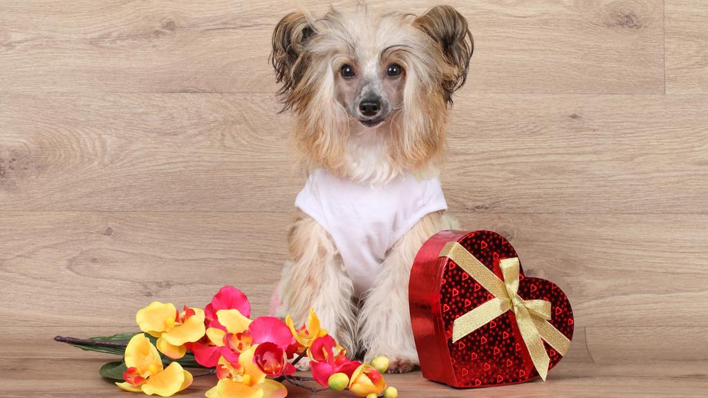 Financial Considerations icon