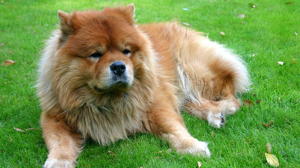 Long-Term Commitment & Special Considerations icon