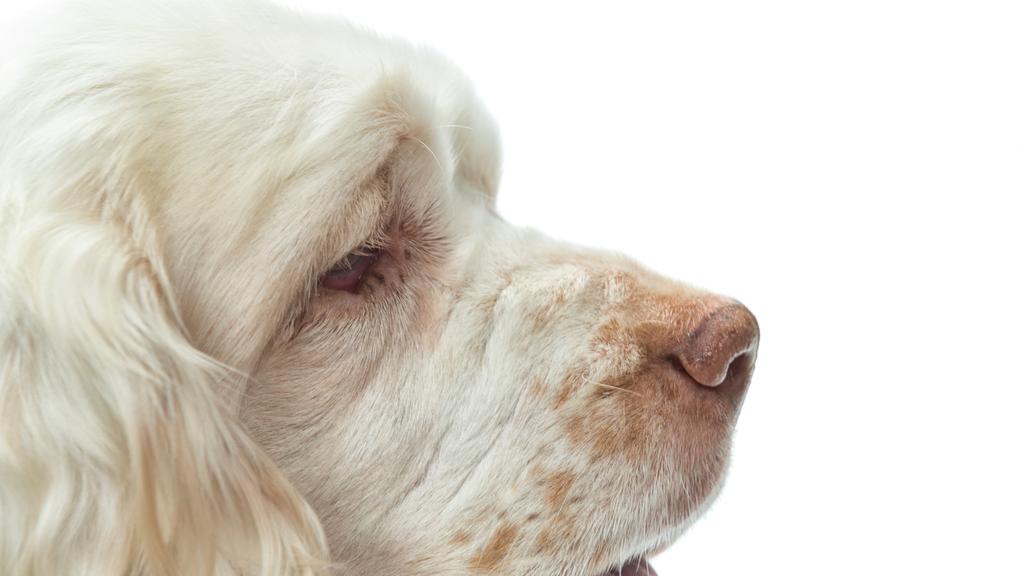 Financial Considerations icon