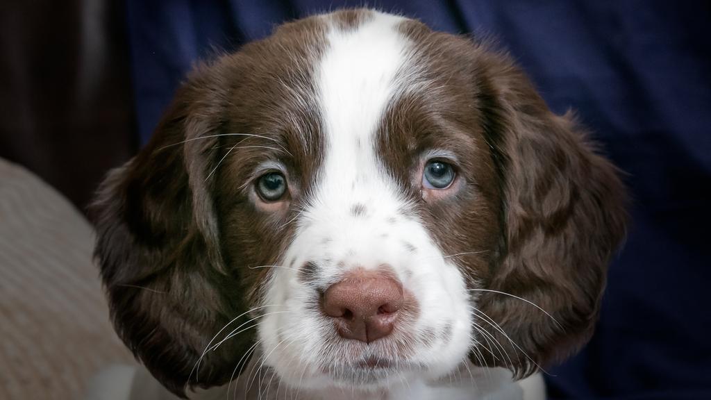 Long-Term Commitment & Special Considerations icon