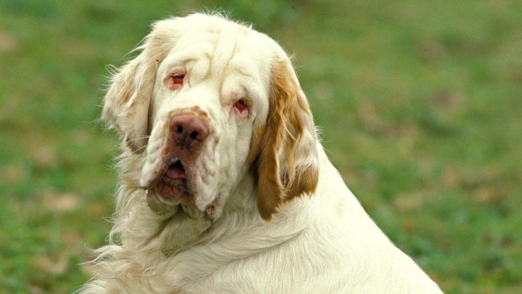 Living Environment Adaptability icon