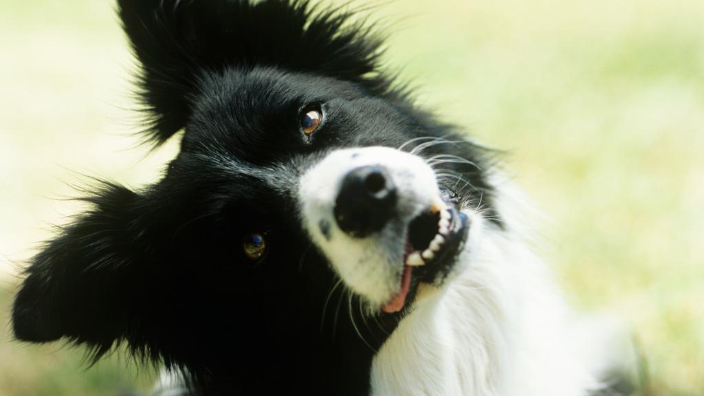 Financial Considerations icon