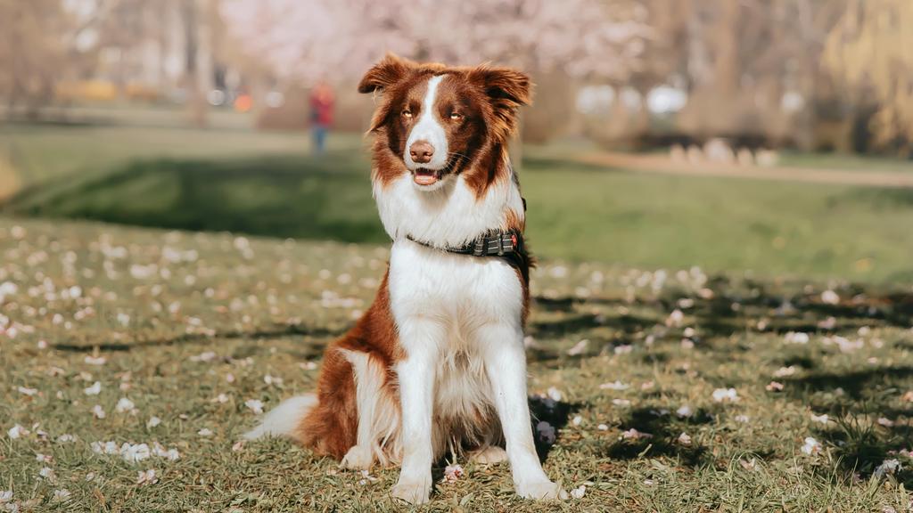 Long-Term Commitment & Special Considerations icon