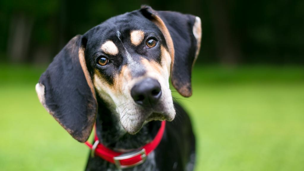 Financial Considerations icon