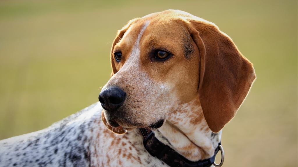 Long-Term Commitment & Special Considerations icon