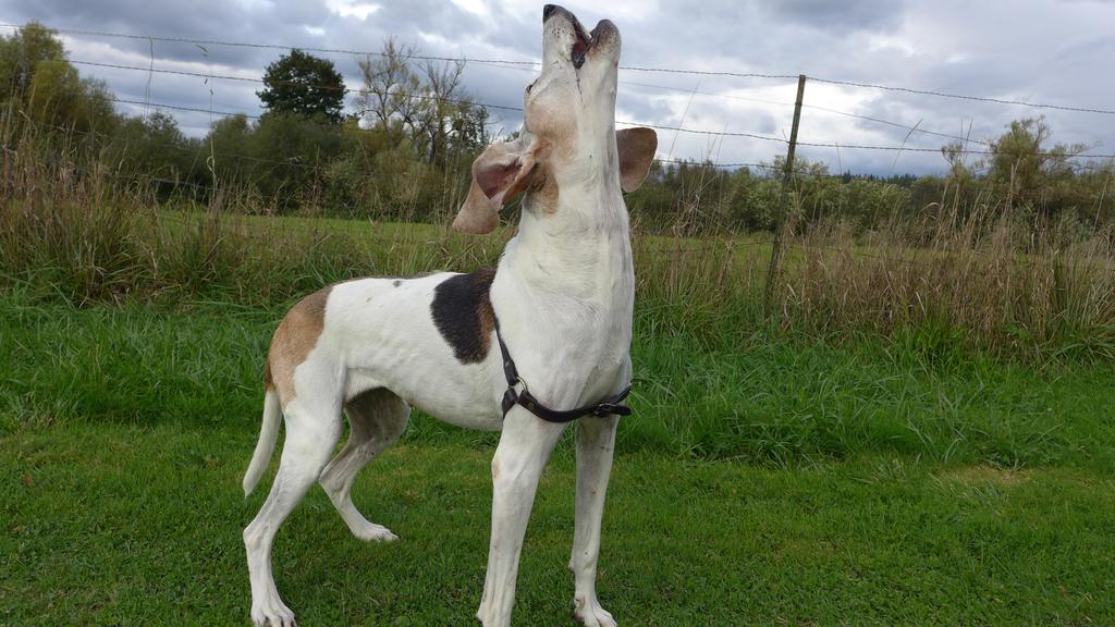 Basic Information icon