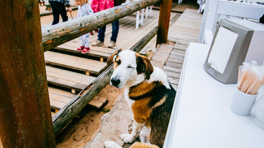 Exercise & Activity Needs icon