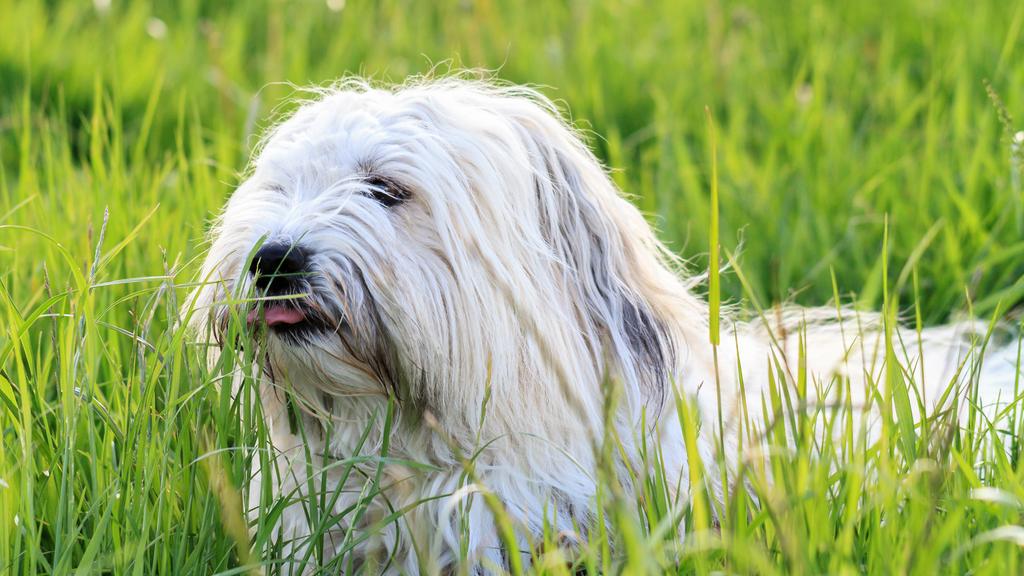 Long-Term Commitment & Special Considerations icon